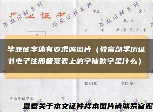 毕业证字体有要求吗图片（教育部学历证书电子注册备案表上的字体数字是什么）缩略图