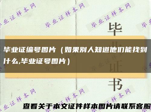 毕业证编号图片（如果别人知道他们能找到什么,毕业证号图片）缩略图