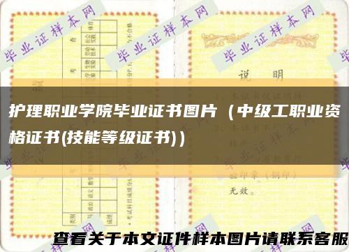 护理职业学院毕业证书图片（中级工职业资格证书(技能等级证书)）缩略图
