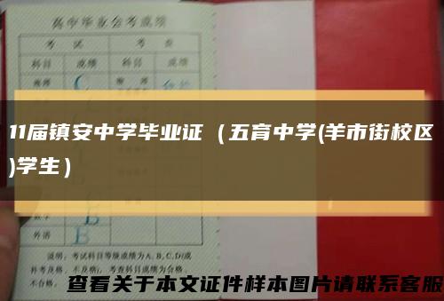 11届镇安中学毕业证（五育中学(羊市街校区)学生）缩略图