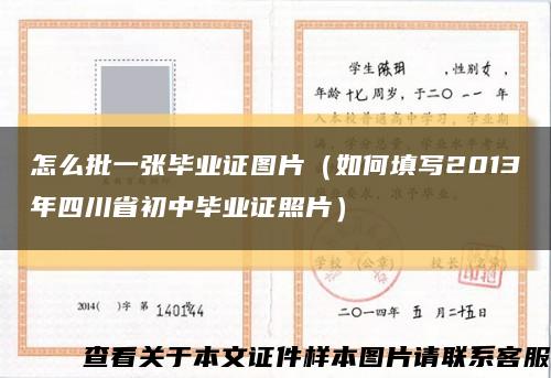 怎么批一张毕业证图片（如何填写2013年四川省初中毕业证照片）缩略图