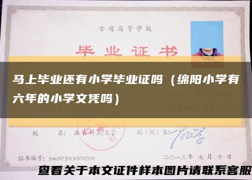马上毕业还有小学毕业证吗（绵阳小学有六年的小学文凭吗）缩略图