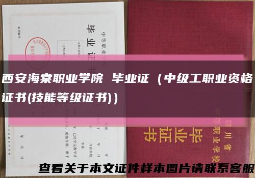 西安海棠职业学院 毕业证（中级工职业资格证书(技能等级证书)）缩略图