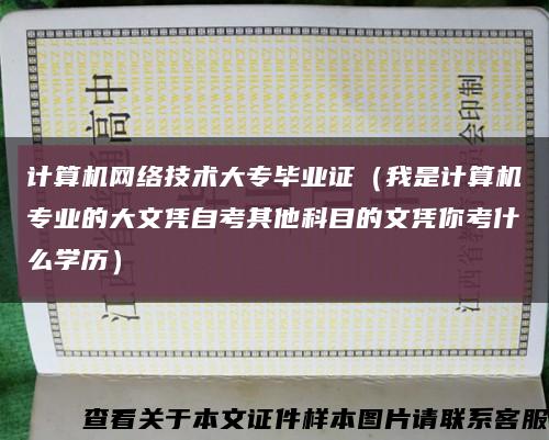 计算机网络技术大专毕业证（我是计算机专业的大文凭自考其他科目的文凭你考什么学历）缩略图