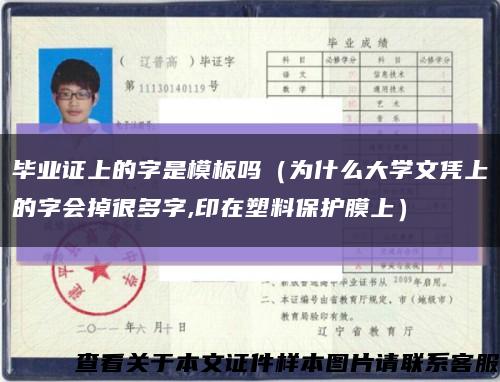 毕业证上的字是模板吗（为什么大学文凭上的字会掉很多字,印在塑料保护膜上）缩略图