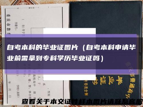 自考本科的毕业证图片（自考本科申请毕业前需拿到专科学历毕业证吗）缩略图