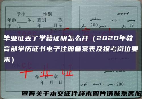 毕业证丢了学籍证明怎么开（2020年教育部学历证书电子注册备案表及报考岗位要求）缩略图
