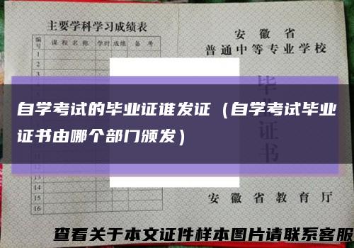 自学考试的毕业证谁发证（自学考试毕业证书由哪个部门颁发）缩略图