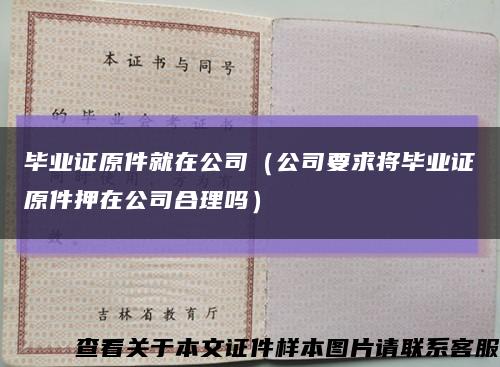 毕业证原件就在公司（公司要求将毕业证原件押在公司合理吗）缩略图