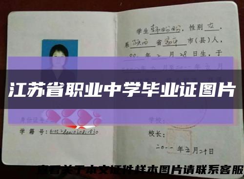 江苏省职业中学毕业证图片缩略图