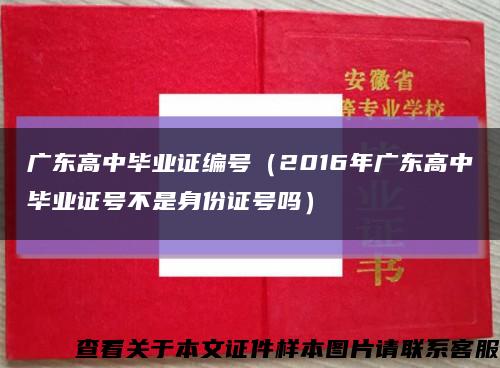广东高中毕业证编号（2016年广东高中毕业证号不是身份证号吗）缩略图