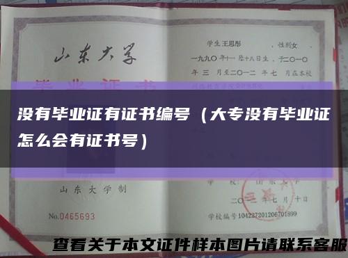 没有毕业证有证书编号（大专没有毕业证怎么会有证书号）缩略图