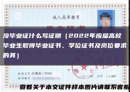 没毕业证什么写证明（2022年应届高校毕业生取得毕业证书、学位证书及岗位要求的其）缩略图