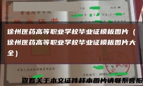 徐州医药高等职业学校毕业证模板图片（徐州医药高等职业学校毕业证模板图片大全）缩略图