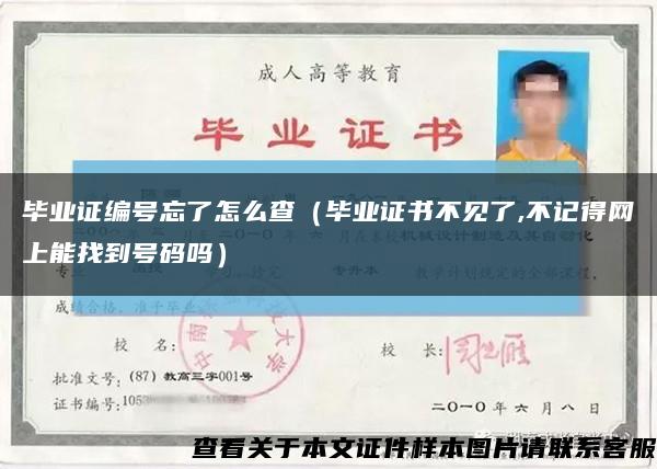 毕业证编号忘了怎么查（毕业证书不见了,不记得网上能找到号码吗）缩略图