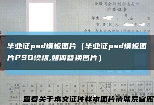 毕业证psd模板图片（毕业证psd模板图片PSD模板,如何替换图片）缩略图