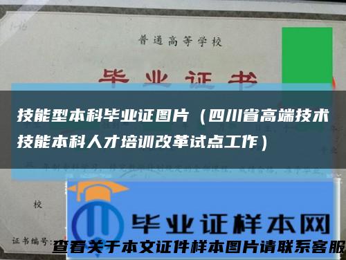 技能型本科毕业证图片（四川省高端技术技能本科人才培训改革试点工作）缩略图