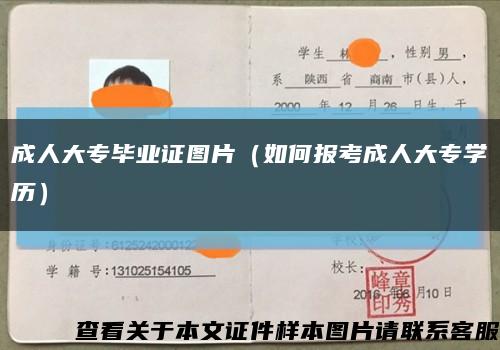 成人大专毕业证图片（如何报考成人大专学历）缩略图