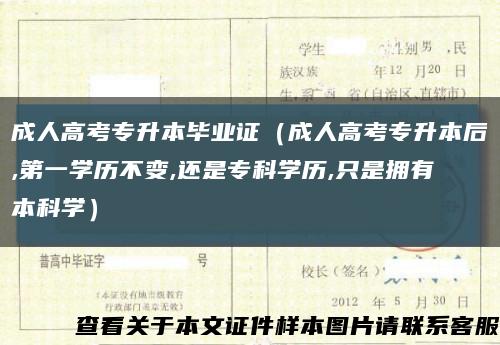 成人高考专升本毕业证（成人高考专升本后,第一学历不变,还是专科学历,只是拥有本科学）缩略图