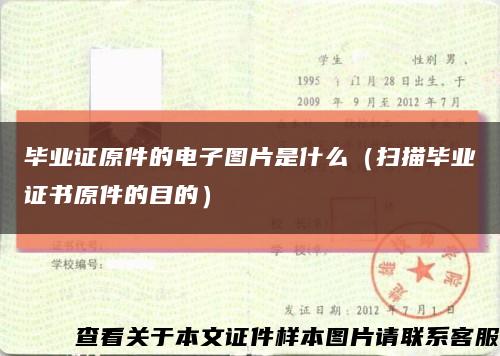 毕业证原件的电子图片是什么（扫描毕业证书原件的目的）缩略图