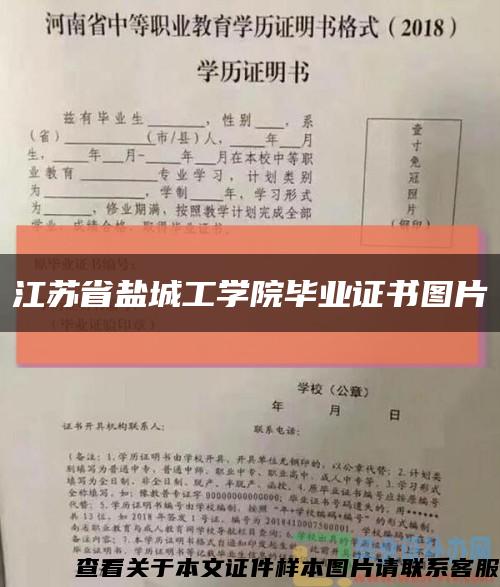 江苏省盐城工学院毕业证书图片缩略图