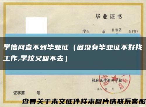 学信网查不到毕业证（因没有毕业证不好找工作,学校又回不去）缩略图