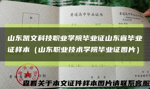 山东凯文科技职业学院毕业证山东省毕业证样本（山东职业技术学院毕业证图片）缩略图