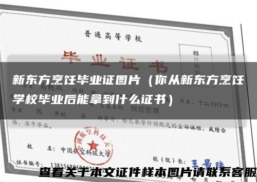 新东方烹饪毕业证图片（你从新东方烹饪学校毕业后能拿到什么证书）缩略图