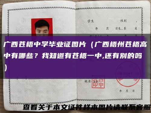 广西苍梧中学毕业证图片（广西梧州苍梧高中有哪些？我知道有苍梧一中,还有别的吗）缩略图