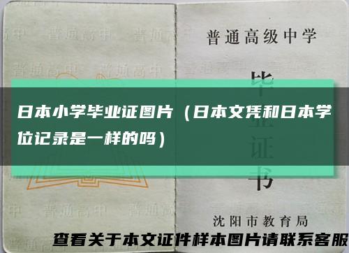 日本小学毕业证图片（日本文凭和日本学位记录是一样的吗）缩略图