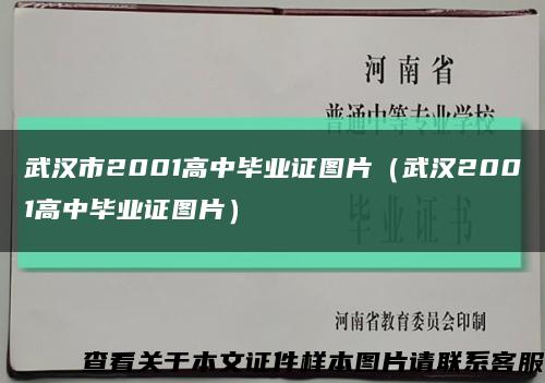 武汉市2001高中毕业证图片（武汉2001高中毕业证图片）缩略图