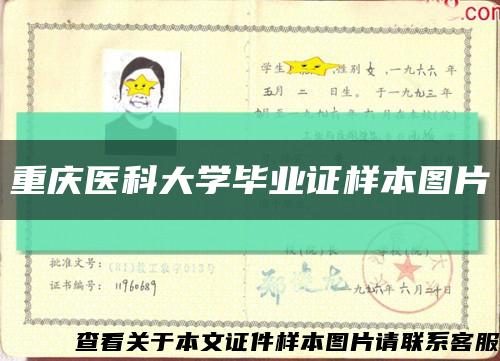 重庆医科大学毕业证样本图片缩略图