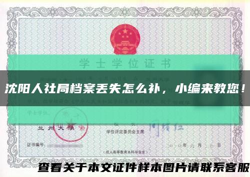沈阳人社局档案丢失怎么补，小编来教您！缩略图