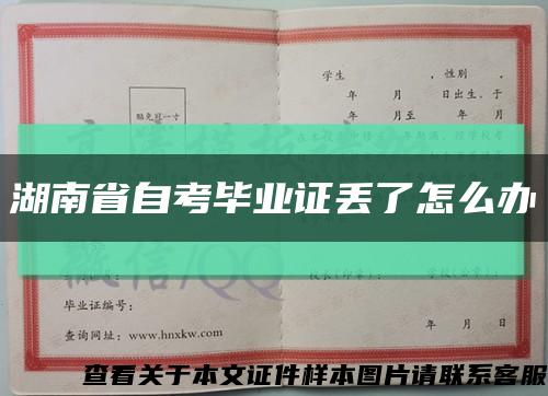湖南省自考毕业证丢了怎么办缩略图