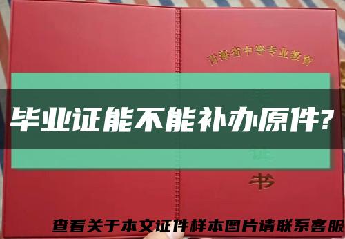 毕业证能不能补办原件?缩略图