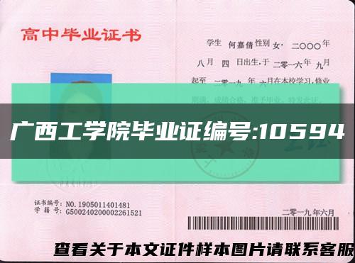 广西工学院毕业证编号:10594缩略图