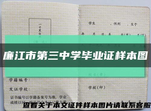 廉江市第三中学毕业证样本图缩略图