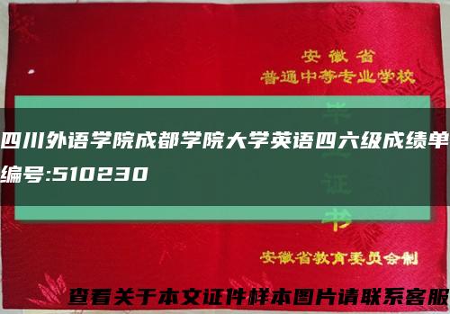四川外语学院成都学院大学英语四六级成绩单编号:510230缩略图