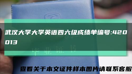 武汉大学大学英语四六级成绩单编号:420013缩略图