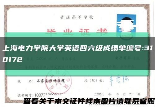上海电力学院大学英语四六级成绩单编号:310172缩略图