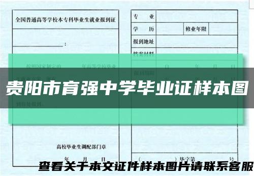 贵阳市育强中学毕业证样本图缩略图