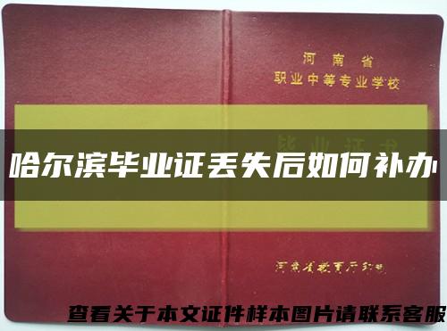 哈尔滨毕业证丢失后如何补办缩略图