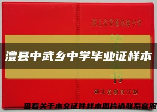 澧县中武乡中学毕业证样本缩略图