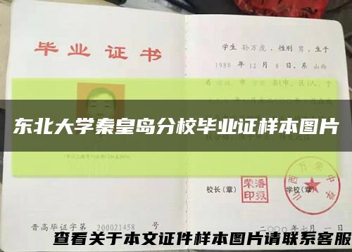 东北大学秦皇岛分校毕业证样本图片缩略图