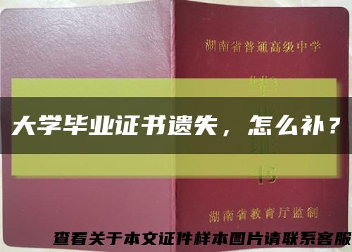 大学毕业证书遗失，怎么补？缩略图