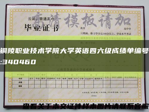 铜陵职业技术学院大学英语四六级成绩单编号:340460缩略图