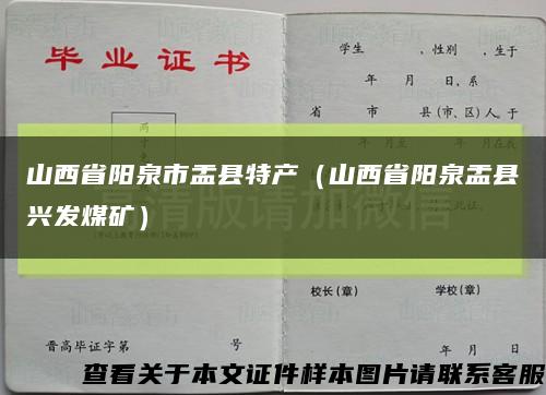 山西省阳泉市盂县特产（山西省阳泉盂县兴发煤矿）缩略图