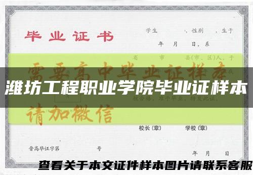 潍坊工程职业学院毕业证样本缩略图