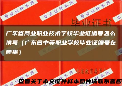 广东省商业职业技术学校毕业证编号怎么填写（广东省中等职业学校毕业证编号在哪里）缩略图
