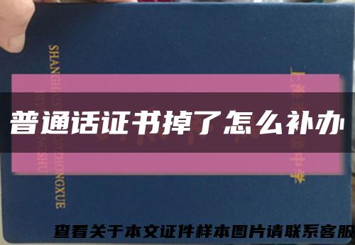 普通话证书掉了怎么补办缩略图